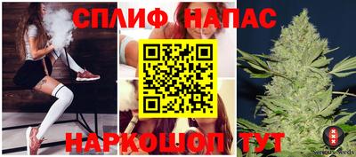 стафф Будённовск
