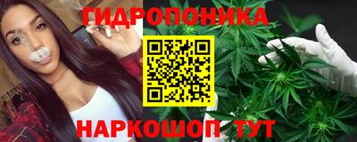 стафф Будённовск